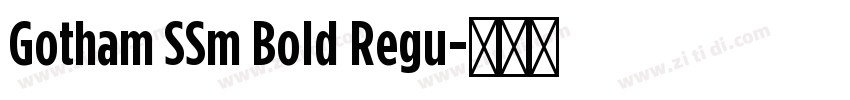Gotham SSm Bold Regu字体转换